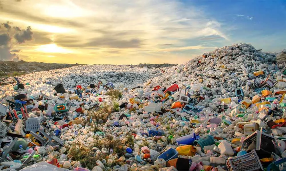 Waste Management Phone Number – Call Cardiff’s trusted team for eco-friendly support