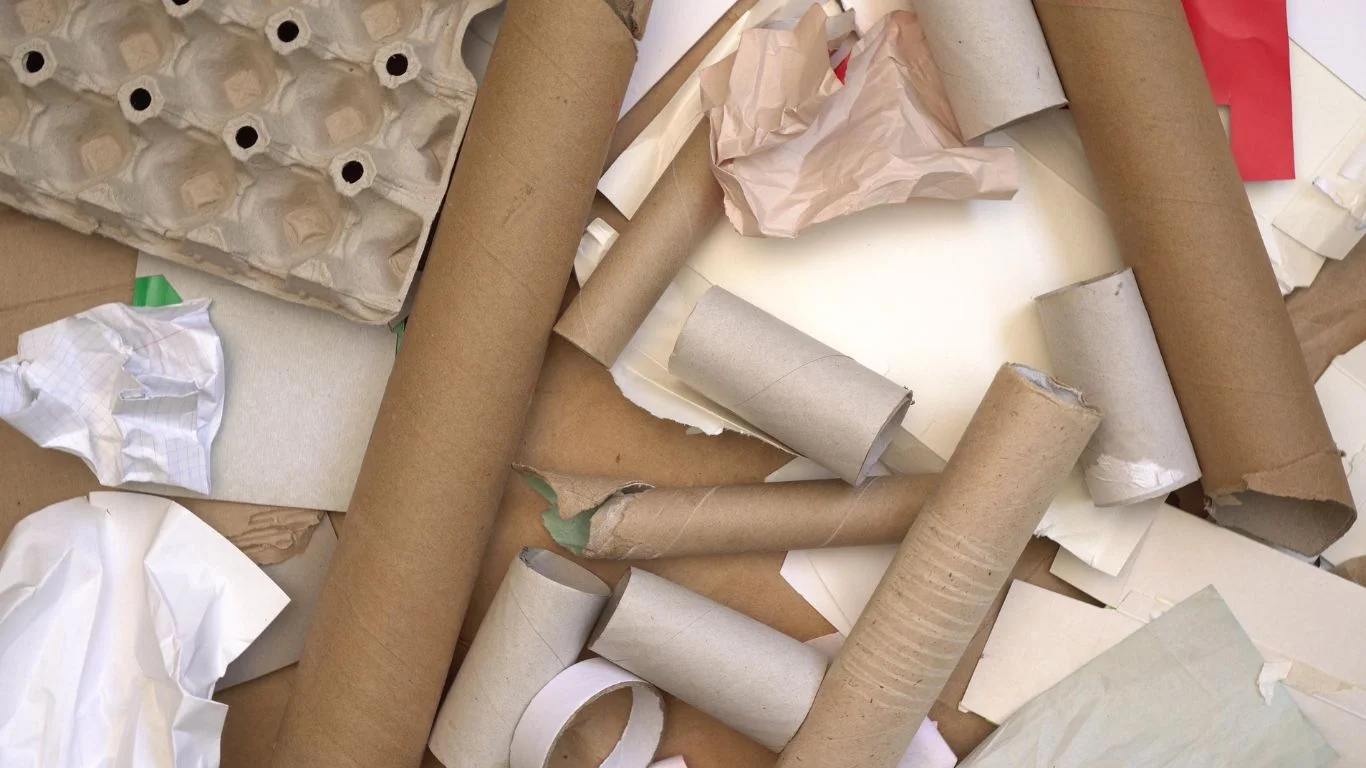 Eco-friendly paper recycling solutions for Cardiff businesses