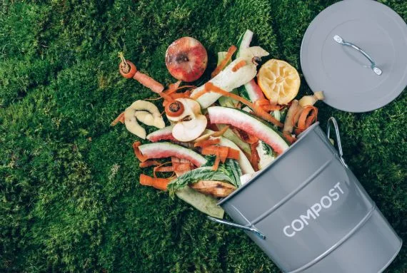 Food waste recycling near me – Join Cardiff’s eco mission with clean and simple recycling services